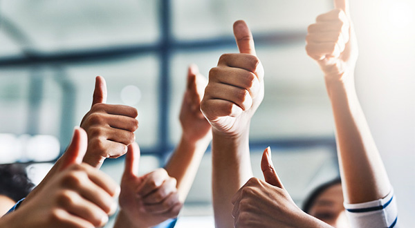 青钱柳的健康作用